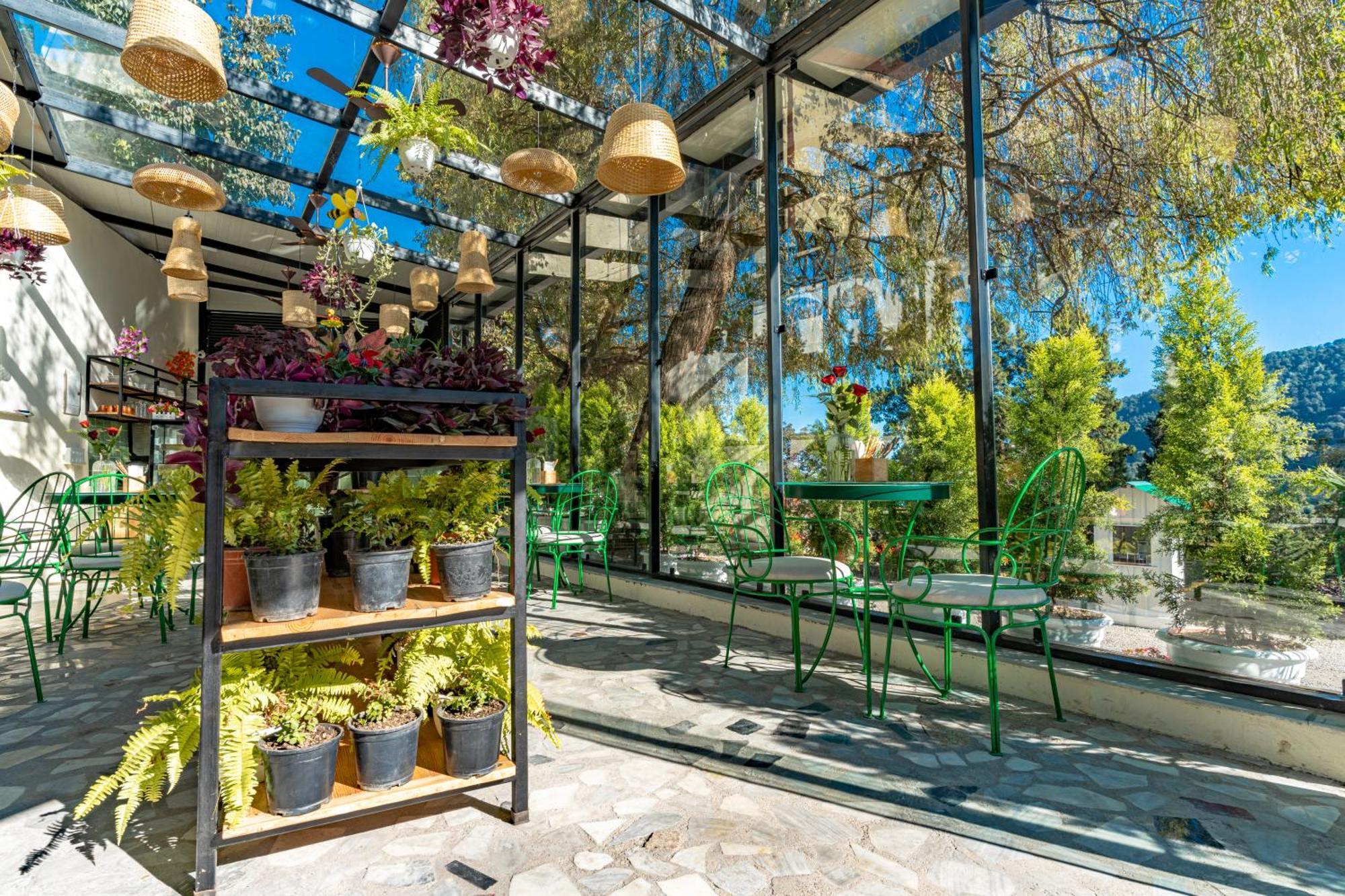 נייניטל Shervani Hilltop Resort מראה חיצוני תמונה